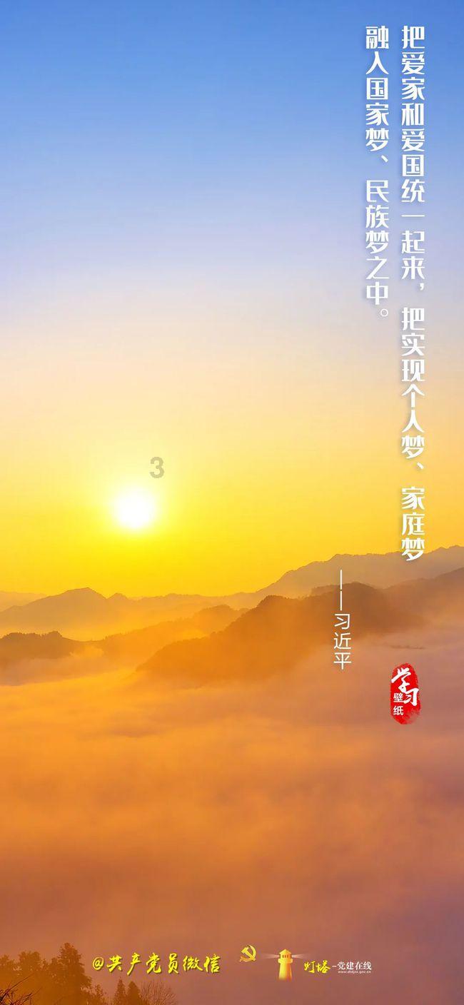 救援呆萌的猫