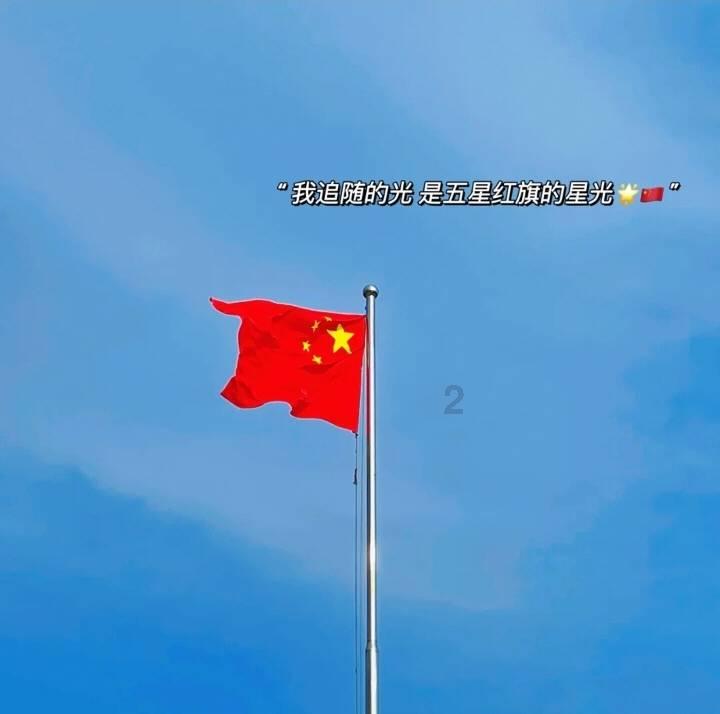 拯救机灵鸟